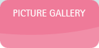 Picture gallery